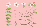 Apple Blossom seamless pattern, a Pattern Graphic by AnzhelikaGerman (Thumbnail 4 of 6)