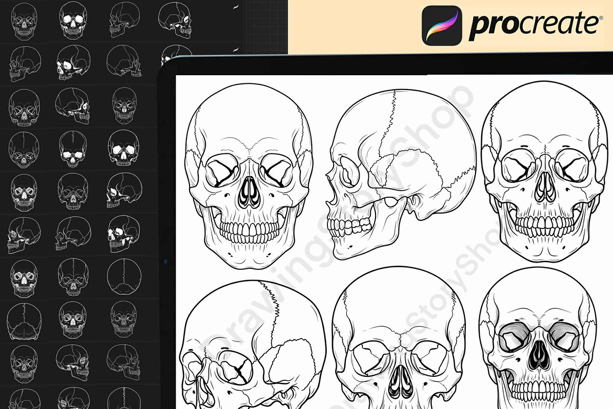 160 Procreate Skull Stamp Brushes, a Brush Add-On by DrawingStoryShop (Photo 3 of 6)