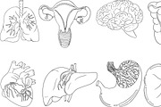 Anatomical human organ, a Graphic by Elena Mykhailenko (Thumbnail 2 of 3)