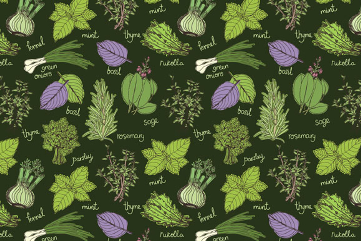 Culinary herbs set preview 5