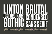 Linton Gothic Extra Condensed, a Font by TypeFaith Fonts (Thumbnail 14 of 16)