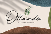 Orlando Signature + Extra Logo, a Script Font by Anxiety Studio (Thumbnail 5 of 14)