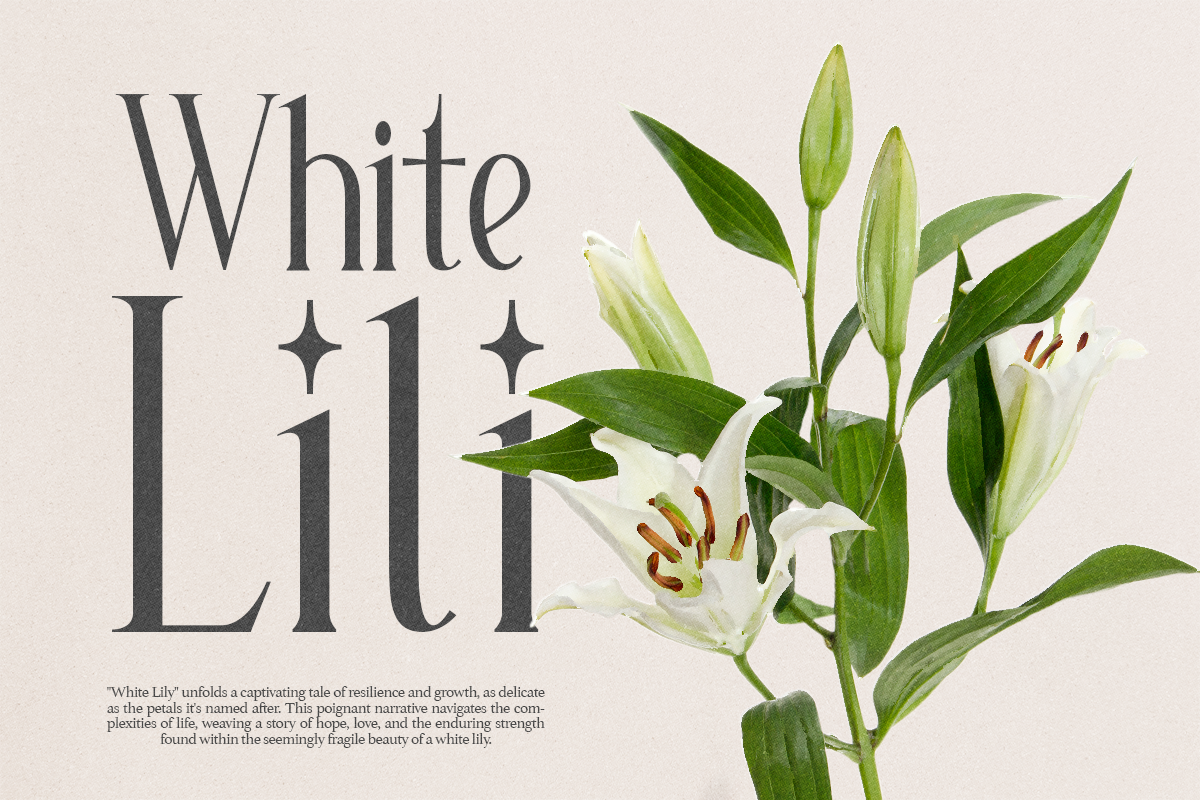 Grading - Modern Ligature Serif, a Serif Font by Pandeka Studio (Photo 4 of 10)