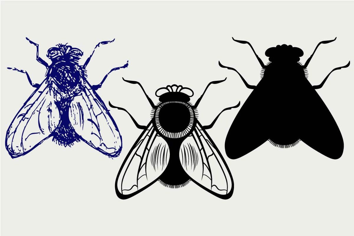 Black flies SVG, an Outline Icon by LineworkStock