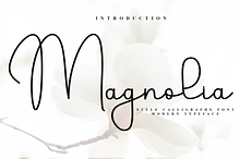 Magnolia