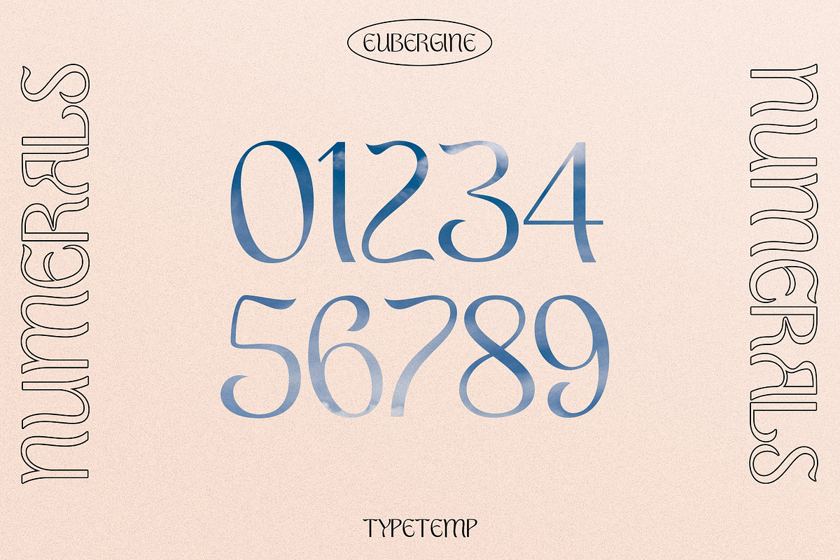 EUBERGINE - Display, a Font by Typetemp Studio (Photo 13 of 16)