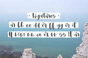 Whitbury, a modern calligraphy font, a Script Font by Rachel White Art (Thumbnail 4 of 12)