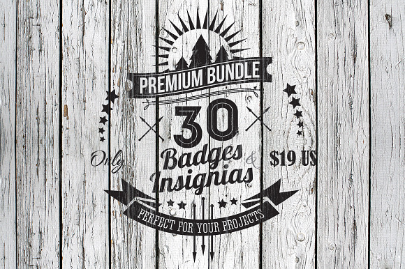 Badges & Insignias Bundle preview 6