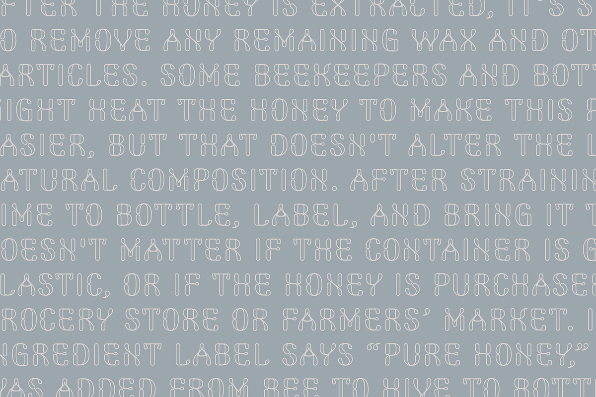 Firefly Elegant Display Font, a Sans Serif Font by SelfBuild Type (Photo 6 of 7)