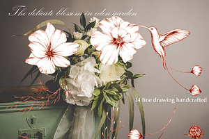 FLORAL LINE ART, Cosmos&hummingbird