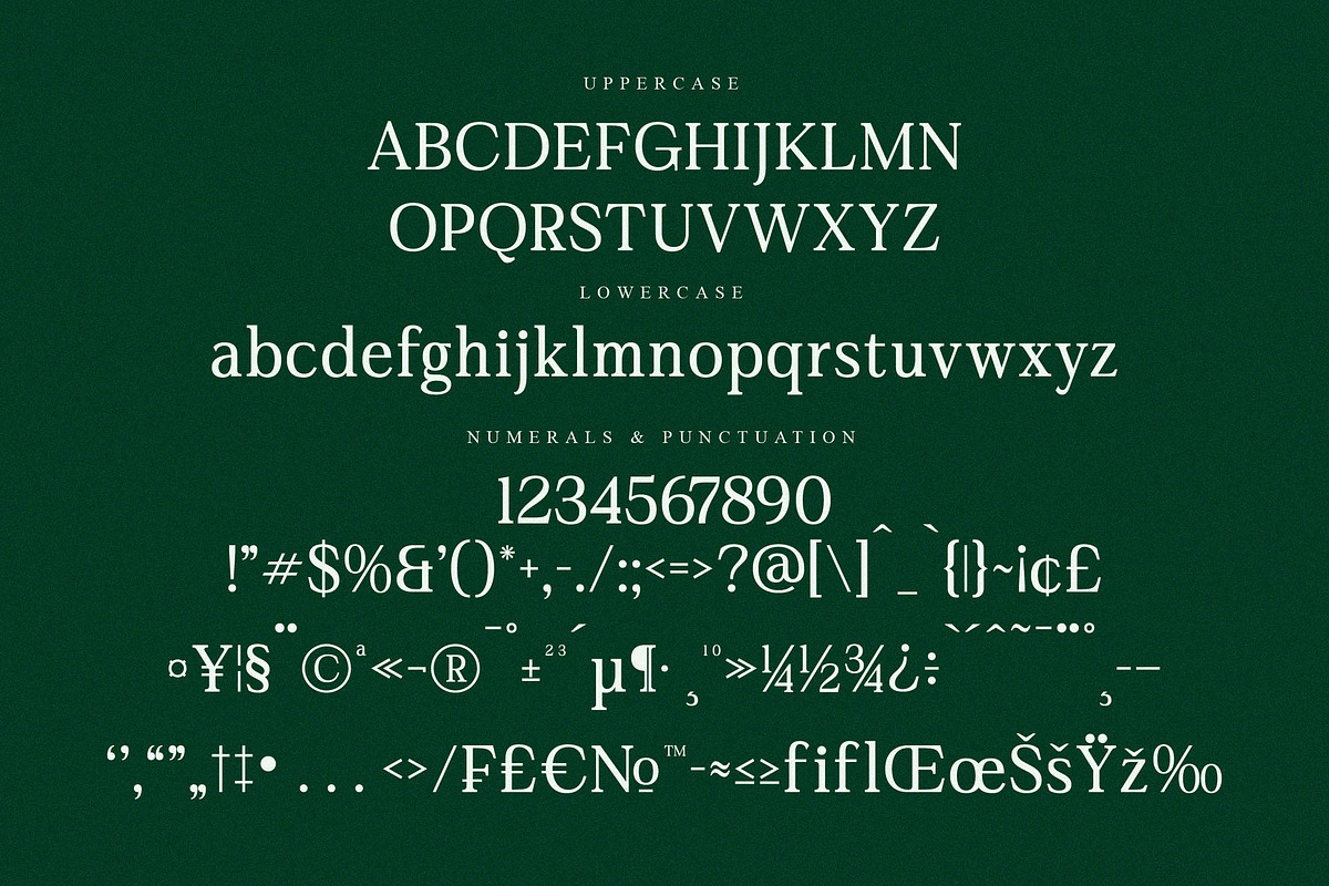 Gardmun Kinsley Modern Serif Font, a Serif Font by Letterena Studios (Photo 13 of 15)