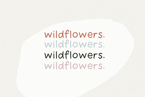 Wildflower Handwritten Font