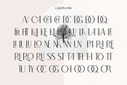 North Carossela || A Ligature Sans, a Sans Serif Font by BrandSemut (Thumbnail 11 of 11)