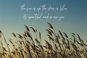 Elleanor - Handwritten Font, a Script Font by Fikryal Studio (Thumbnail 8 of 9)