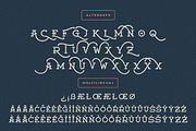 Moanster Vintage Stamp, a Serif Font by Creatype Studio (Thumbnail 8 of 9)
