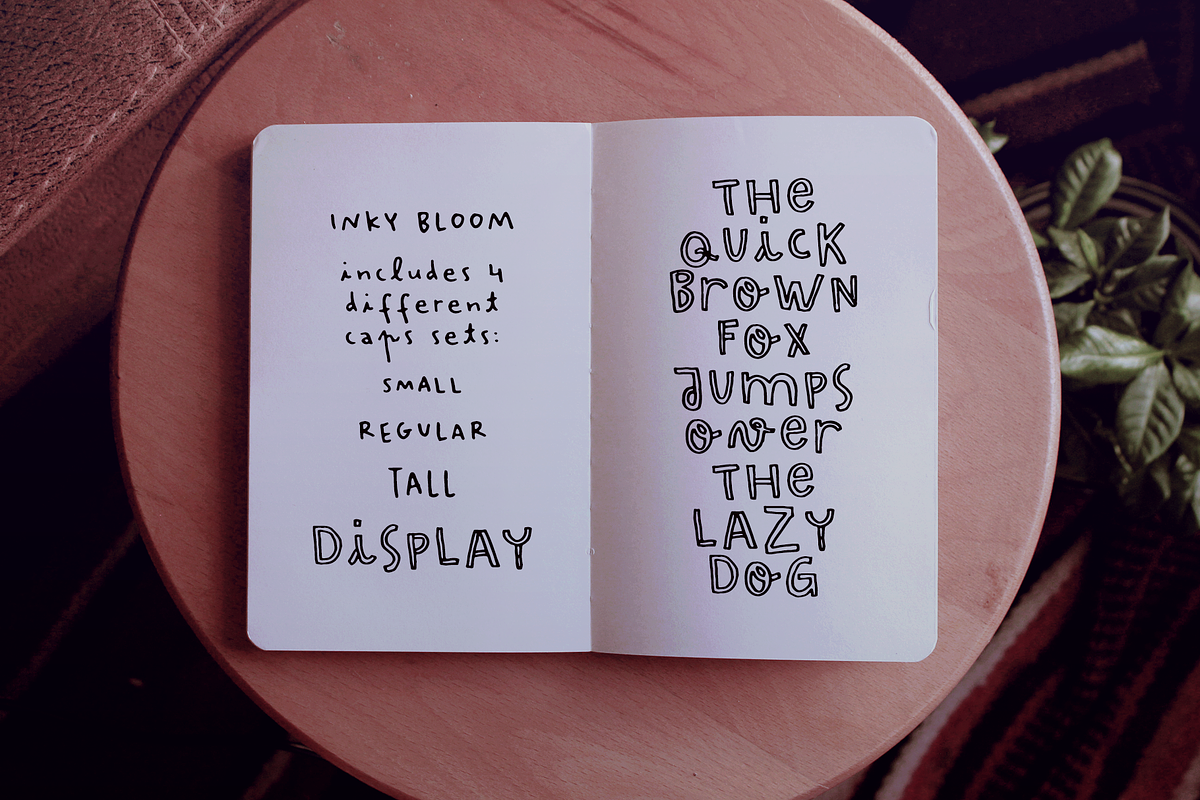 Inky Bloom Handwritten Font, a Handwritten Font by Ana's Fonts (Photo 3 of 8)
