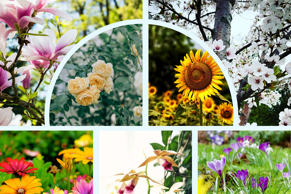 Collage Photo Frame Design Bundle, a Print Template by MRI STUDIO (Photo 18 of 52)