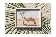 Frame Mockup Bundle - Palme, a Household Mockup by Saguaro Digital (Thumbnail 16 of 16)