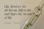 Cindows Elegant Ligature Serif Font, a Serif Font by Perfectype (Thumbnail 4 of 8)