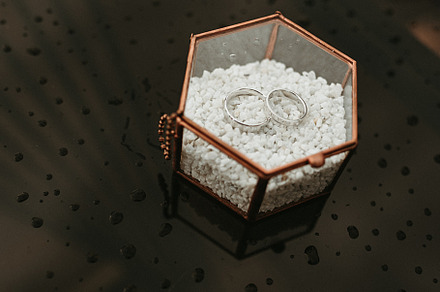 wedding rings in a glass box on a tablу, a Person Photo by Weddings, People, Travel