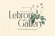 Bember Elegant Serif Font, a Serif Font by Graphicxell (Thumbnail 5 of 8)