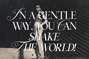 Silver Garden - Nostalgic Font Duo, a Serif Font by SilverStag Type Foundry (Thumbnail 24 of 26)
