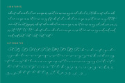 Avonta Qintani Stylish Calligraphy, a Script Font by stylishtype.co (Thumbnail 19 of 20)