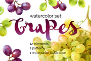 Watercolor grapes, a Food Illustration by ognivo (Thumbnail 1 of 2)