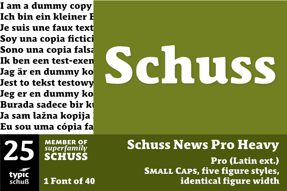 SchussNewsProHeavy No.25 (1 Font)