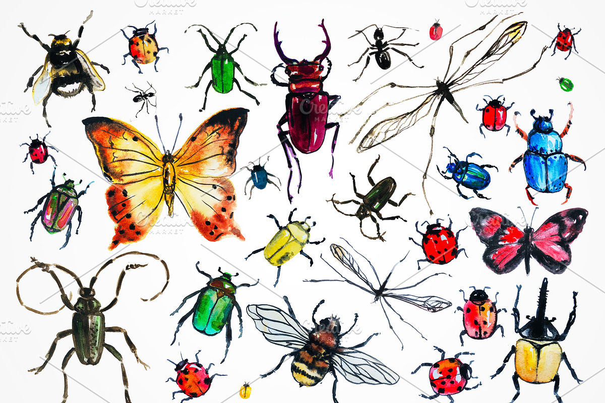 Insects, an Illustration by Alena (Photo 2 of 3)