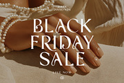 Antiqualux - Luxury Cosmetic Type, a Serif Font by HipFonts (Thumbnail 10 of 10)