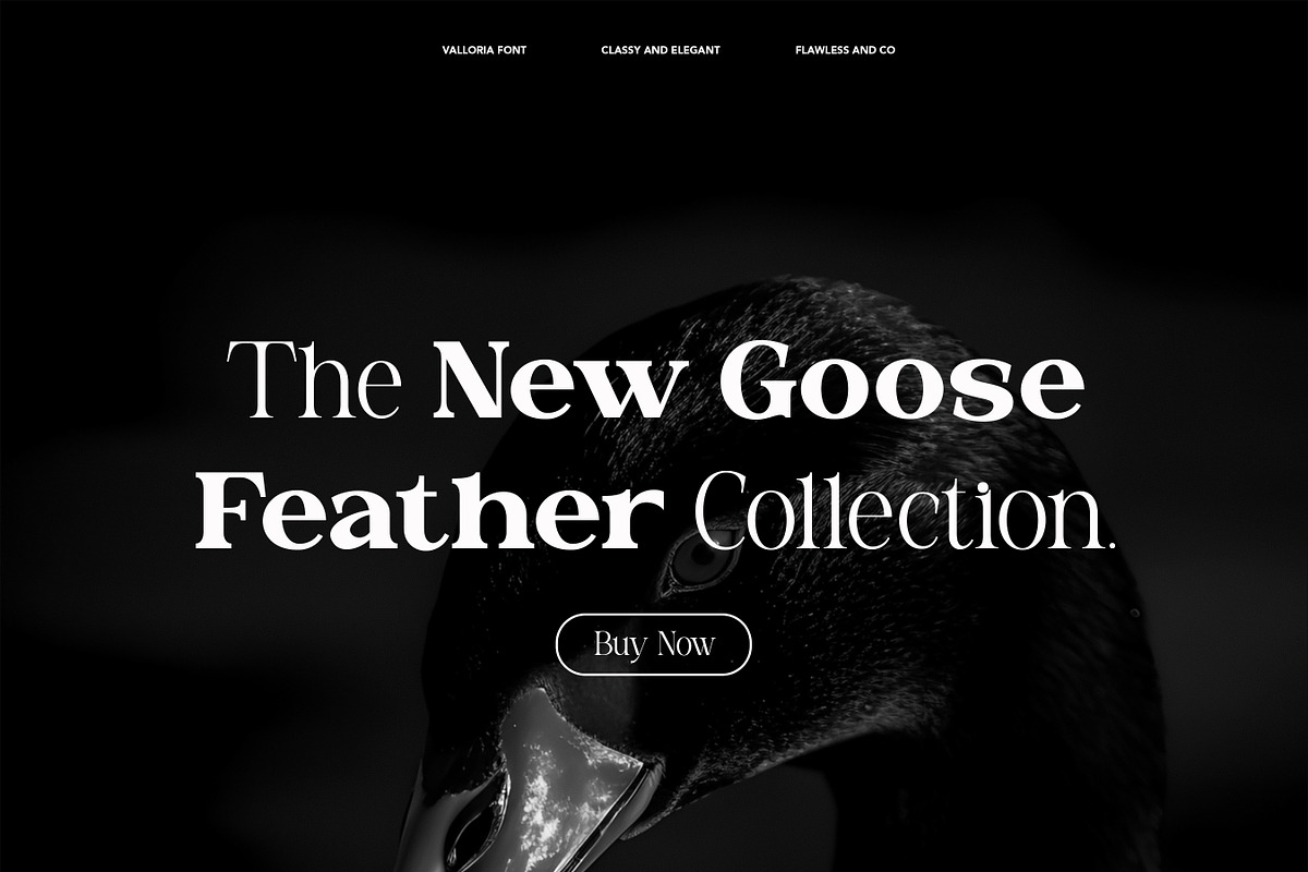 Valloria - Family Serif Font, a Serif Font by Flawless And Co (Photo 8 of 10)