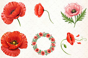 Watercolor Poppies Clipart, an Illustration by Libby Wishes (Thumbnail 2 of 6)