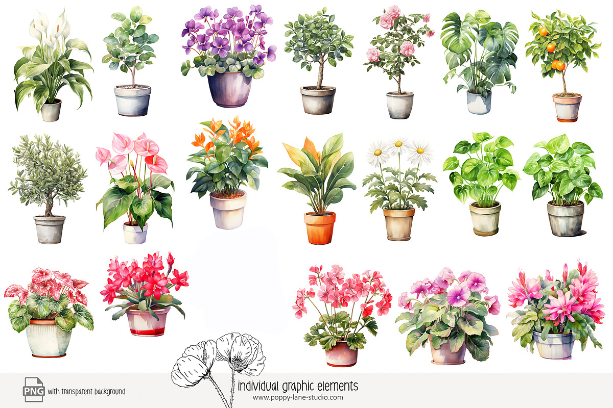 100 watercolor house plants clip art, a Seasonal Illustration by Poppy Lane Studio (Photo 2 of 12)