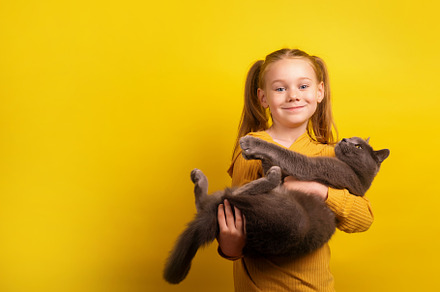 Smiling young girl in mustard sweater holding a large gray cat a