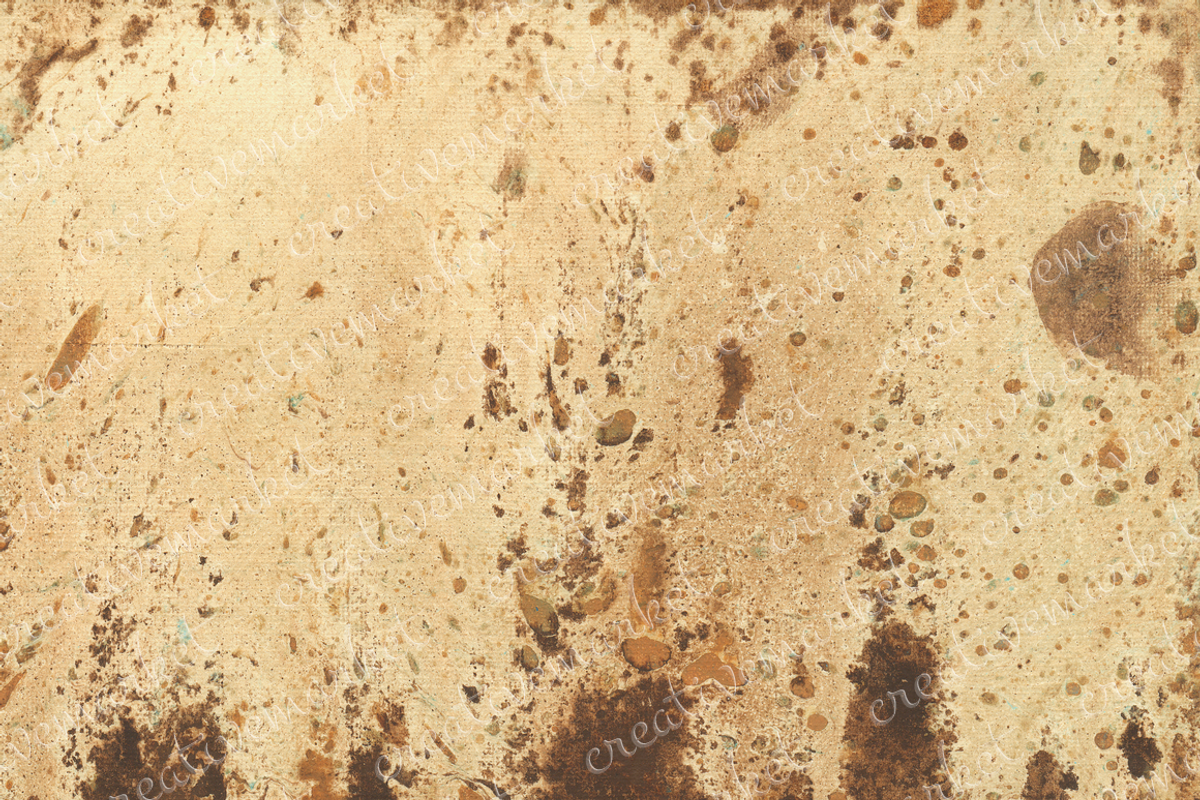Watercolor bark paper, a Texture Graphic by le-genda (Photo 4 of 15)
