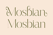 Mosbian Modern Serif Font, a Serif Font by Letterena Studios (Thumbnail 4 of 15)