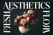 Rosevera – Luxury Blending Classic, a Serif Font by Haps Space (Thumbnail 3 of 7)