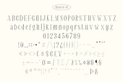 Eugerie - Classic Modern Typeface, a Serif Font by Craft Supply Co. (Thumbnail 6 of 9)