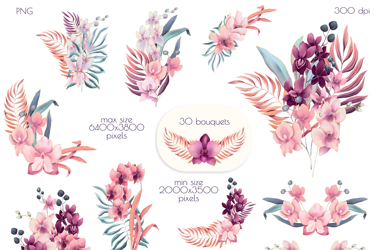 Sunrise Orchid, an Illustration by Salted Galaxy (Photo 2 of 14)