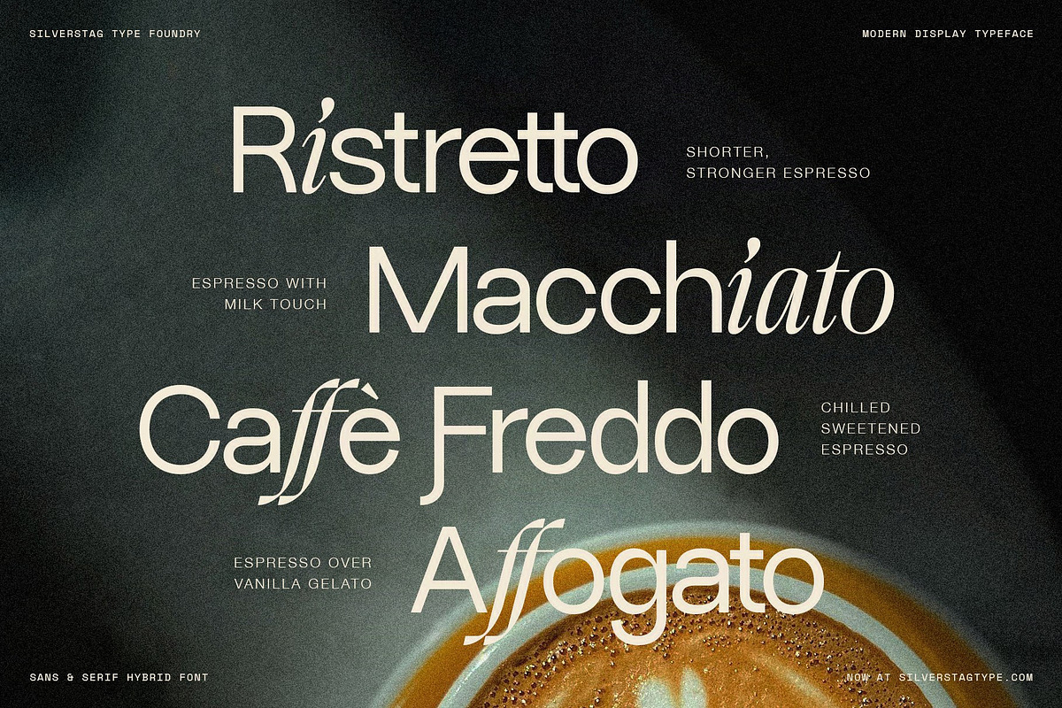 Dessign Maison - Hybrid Display Font, a Serif Font by SilverStag Type Foundry (Photo 12 of 18)