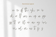 Ursie Bellove - Monoline Signature, a Handwritten Font by tebaltipislab (Thumbnail 10 of 10)