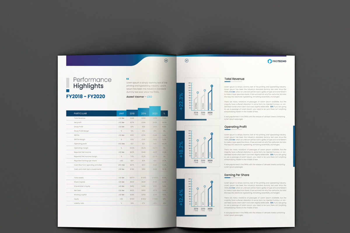 Annual Report, a Brochure Template by xnorpix (Photo 14 of 25)