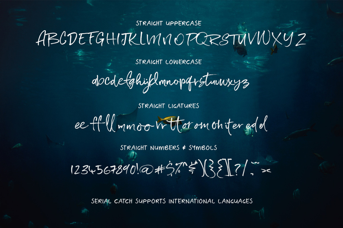 Serial Catch Font, a Script Font by Creativeqube Design (Photo 18 of 22)