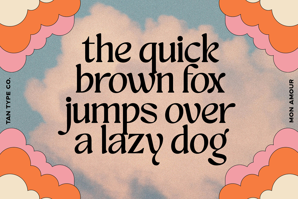 TAN - MON AMOUR, a Font by TanType (Photo 8 of 11)