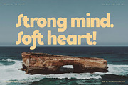 Saffielle - Bold Vintage Typeface, a Sans Serif Font by SilverStag Type Foundry (Thumbnail 9 of 15)