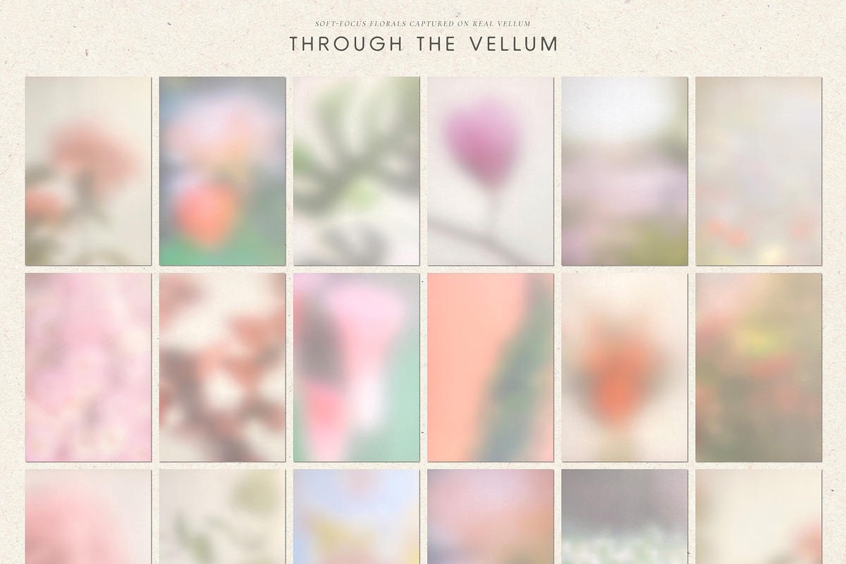 Through the Vellum - Backgrounds, a Background Graphic by Dina Mae (Photo 12 of 13)