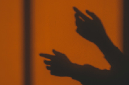 Shadows at golden hour