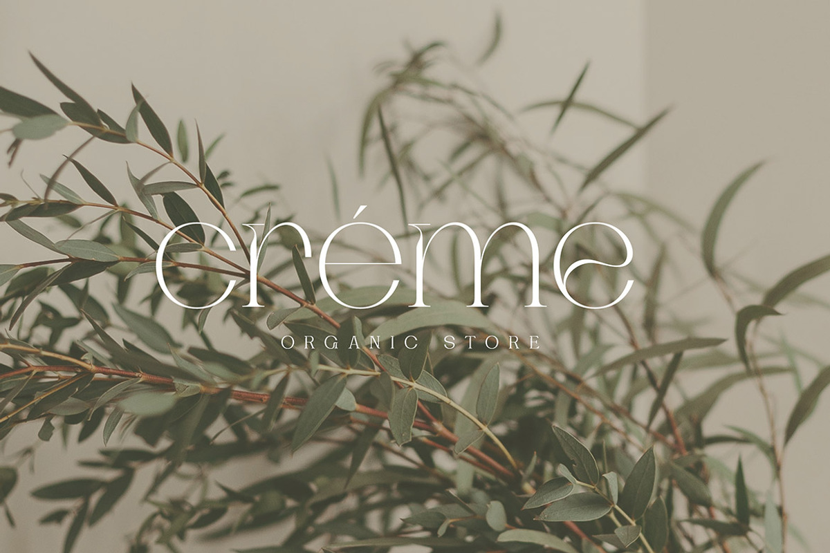 Dagstam - Artistic Serif Font, a Serif Font by Cruzine (Photo 2 of 9)