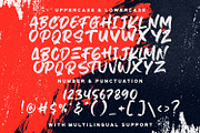 Hiruzen Exists - Textured Brush Font, a Script Font by StringLabs (Thumbnail 13 of 14)